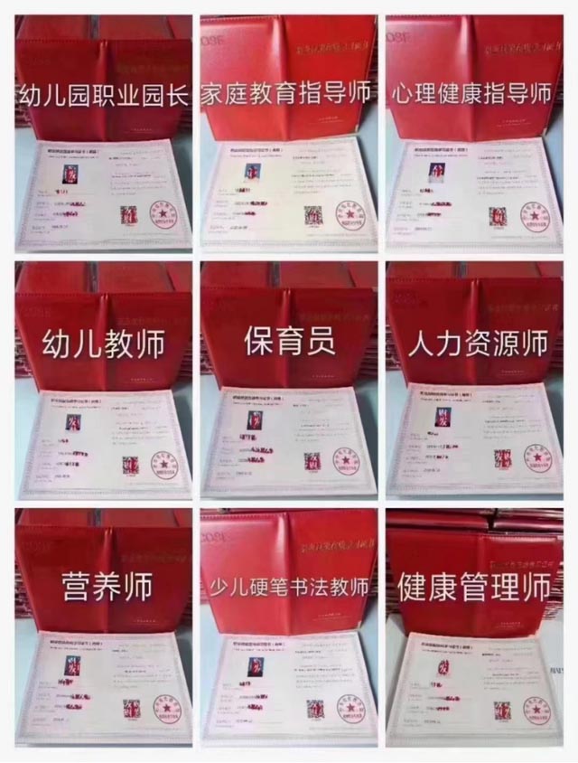 中央电教馆证书.jpg 中央电教馆证书.jpg